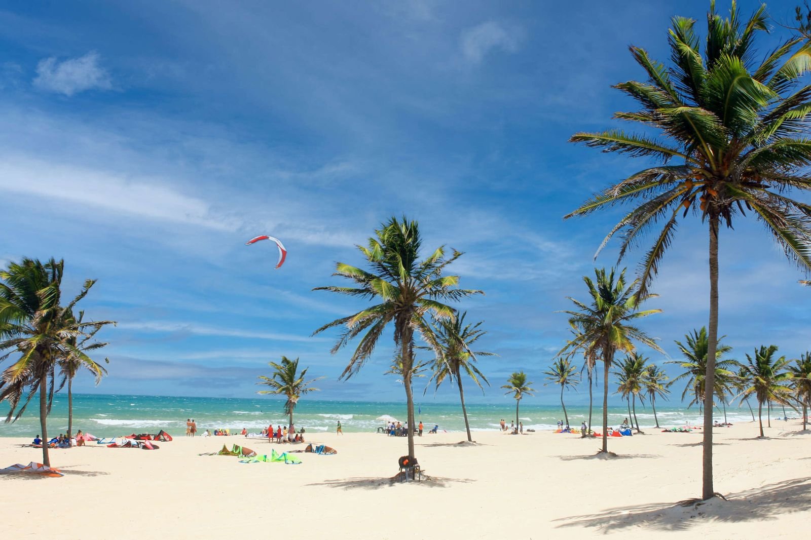 Coqueiros e kitesurf na praia do Cumbuco